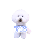 TOYNICO（個別スタンプ：4）