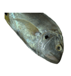 食品シリーズ : 魚 (さかな / うお)（個別スタンプ：3）