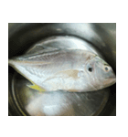 食品シリーズ : 魚 (さかな / うお)（個別スタンプ：7）