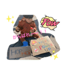 はくまるスタンプ3（個別スタンプ：40）