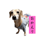 ☆レオンくんスタンプ☆（個別スタンプ：7）