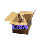 ☆レオンくんスタンプ☆（個別スタンプ：28）