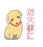 小犬達の4字言葉（個別スタンプ：10）