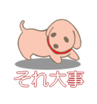 小犬達の4字言葉（個別スタンプ：22）