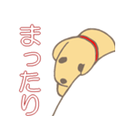 小犬達の4字言葉（個別スタンプ：30）