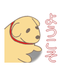 小犬達の4字言葉（個別スタンプ：34）