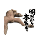 リンとユウのスタンプ3（個別スタンプ：2）