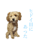 リンとユウのスタンプ3（個別スタンプ：5）