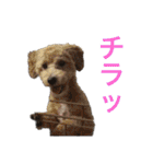 リンとユウのスタンプ3（個別スタンプ：7）
