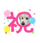 リンとユウのスタンプ3（個別スタンプ：16）
