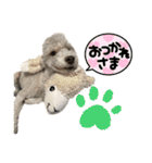 リンとユウのスタンプ3（個別スタンプ：22）