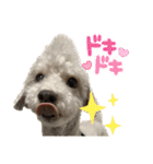 リンとユウのスタンプ3（個別スタンプ：23）