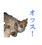 リンとユウのスタンプ3（個別スタンプ：28）