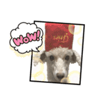 リンとユウのスタンプ3（個別スタンプ：30）