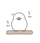 ゆるめの文鳥さんスタンプ（個別スタンプ：12）