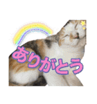 Johnny ＆ Chocola ＆ かりん ⑩（個別スタンプ：9）