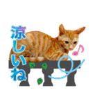 Johnny ＆ Chocola ＆ かりん ⑩（個別スタンプ：14）