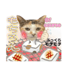 Johnny ＆ Chocola ＆ かりん ⑩（個別スタンプ：19）