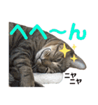 Johnny ＆ Chocola ＆ かりん ⑩（個別スタンプ：20）