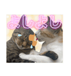 Johnny ＆ Chocola ＆ かりん ⑩（個別スタンプ：21）