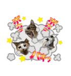 Johnny ＆ Chocola ＆ かりん ⑩（個別スタンプ：25）