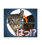 Johnny ＆ Chocola ＆ かりん ⑩（個別スタンプ：28）