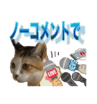Johnny ＆ Chocola ＆ かりん ⑩（個別スタンプ：31）
