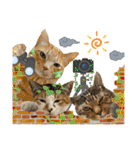 Johnny ＆ Chocola ＆ かりん ⑩（個別スタンプ：32）