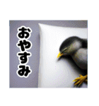 No Bird No Life（個別スタンプ：7）