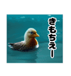 No Bird No Life（個別スタンプ：13）