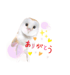 メンフクロウ卯月さん（日常）（個別スタンプ：1）