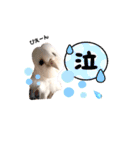 メンフクロウ卯月さん（日常）（個別スタンプ：3）