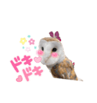 メンフクロウ卯月さん（日常）（個別スタンプ：4）