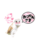 メンフクロウ卯月さん（日常）（個別スタンプ：6）