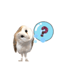 メンフクロウ卯月さん（日常）（個別スタンプ：7）