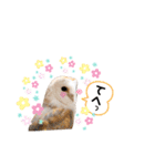 メンフクロウ卯月さん（日常）（個別スタンプ：9）