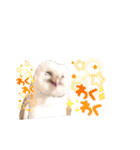 メンフクロウ卯月さん（日常）（個別スタンプ：12）