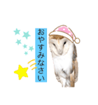 メンフクロウ卯月さん（日常）（個別スタンプ：15）