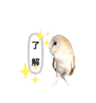メンフクロウ卯月さん（日常）（個別スタンプ：20）