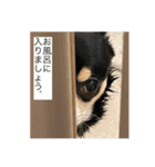 ココのリアルスタンプ（個別スタンプ：25）