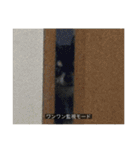 ココのリアルスタンプ（個別スタンプ：34）