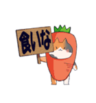 凸凹ねこ（個別スタンプ：14）