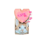 うちのcat’s1（個別スタンプ：15）