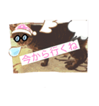 うちのcat’s1（個別スタンプ：23）