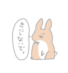 うさぎときどき飼い主（個別スタンプ：12）