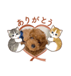 愛月パート15（個別スタンプ：4）