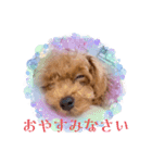 愛月パート15（個別スタンプ：5）
