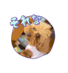 愛月パート15（個別スタンプ：6）