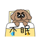 わんわんかまちょなのだ（個別スタンプ：24）