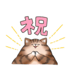 さんかく猫たち(日常)3（個別スタンプ：35）